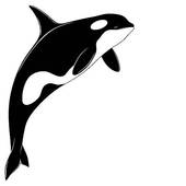 Killer Whale clipart #19, Download drawings