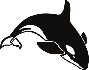 Killer Whale clipart #16, Download drawings