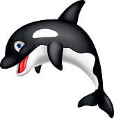 Killer Whale clipart #17, Download drawings