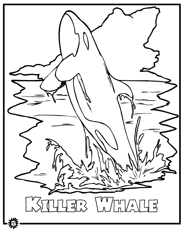 Killer Whale coloring #8, Download drawings