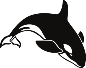 Killer Whale svg #9, Download drawings