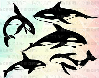 Killer Whale svg #13, Download drawings