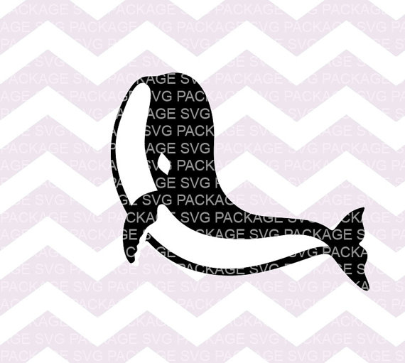 Killer Whale svg #8, Download drawings