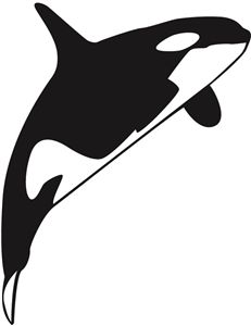 Killer Whale svg #16, Download drawings