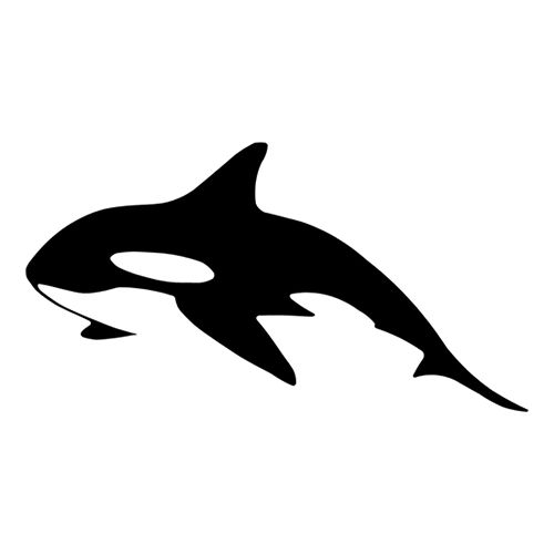 Killer Whale svg #14, Download drawings