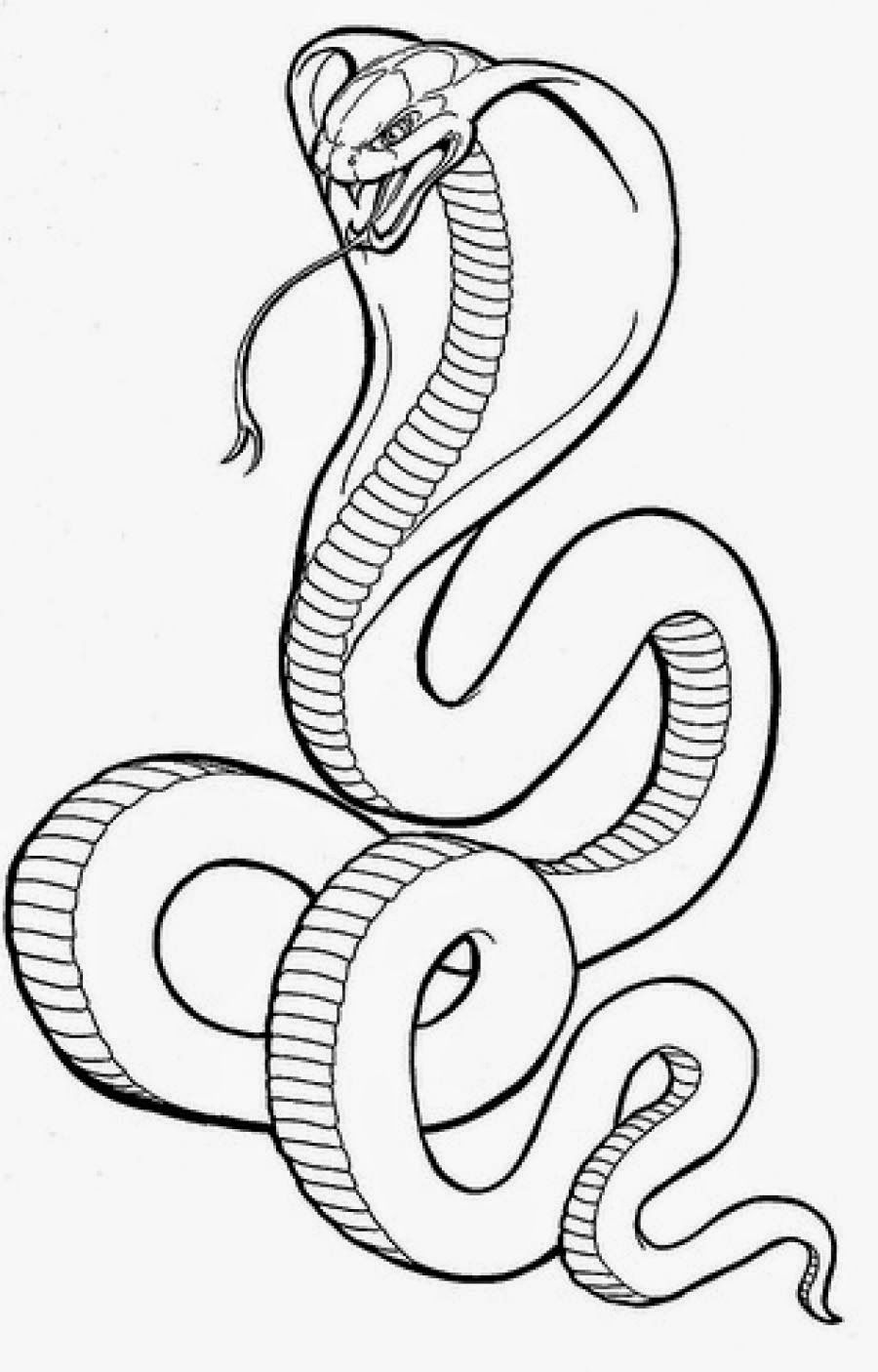 King Cobra coloring #6, Download drawings