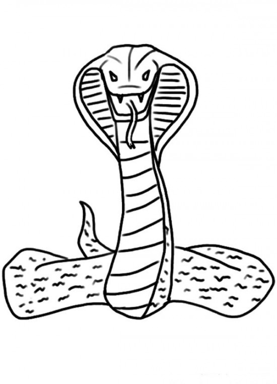King Cobra coloring #20, Download drawings