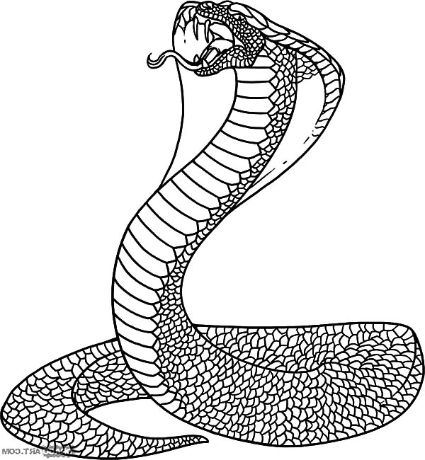 King Cobra coloring #18, Download drawings