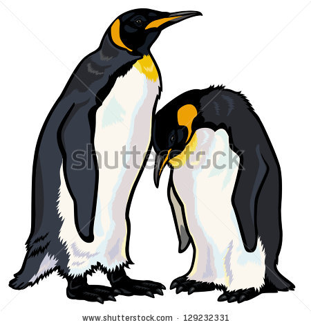 King Emperor Penguins clipart #13, Download drawings