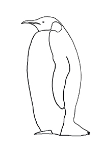 King Emperor Penguins coloring #19, Download drawings