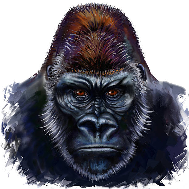 King Kong clipart #15, Download drawings