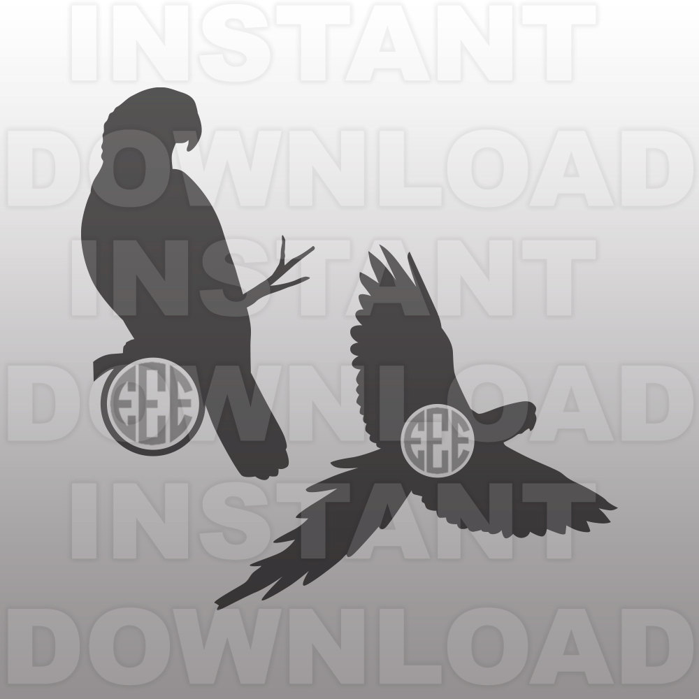 King Parrot svg #4, Download drawings