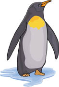 King Penguin clipart #3, Download drawings
