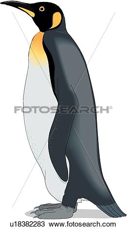 King Penguin clipart #17, Download drawings