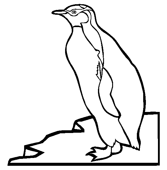 King Penguin coloring #17, Download drawings
