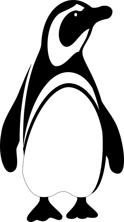 King Penguin svg #6, Download drawings