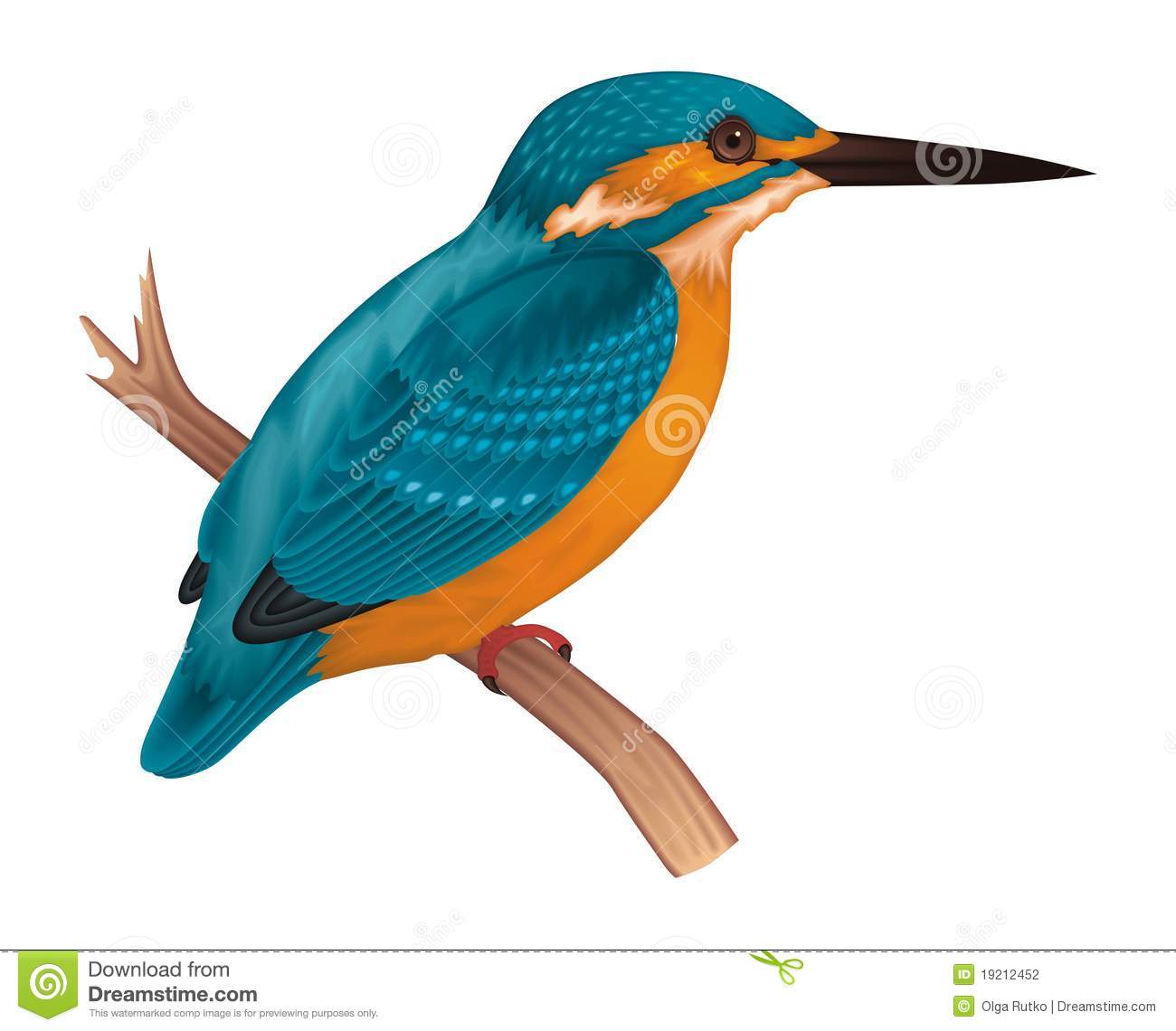 Kingfisher clipart #1, Download drawings