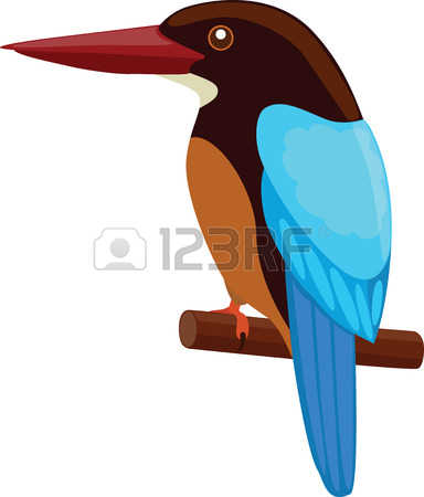 Kingfisher clipart #7, Download drawings