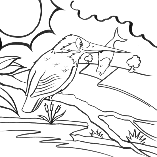 Kingsfisher coloring #16, Download drawings