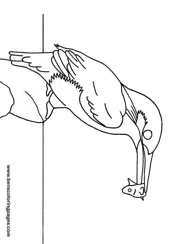 Kingsfisher coloring #20, Download drawings