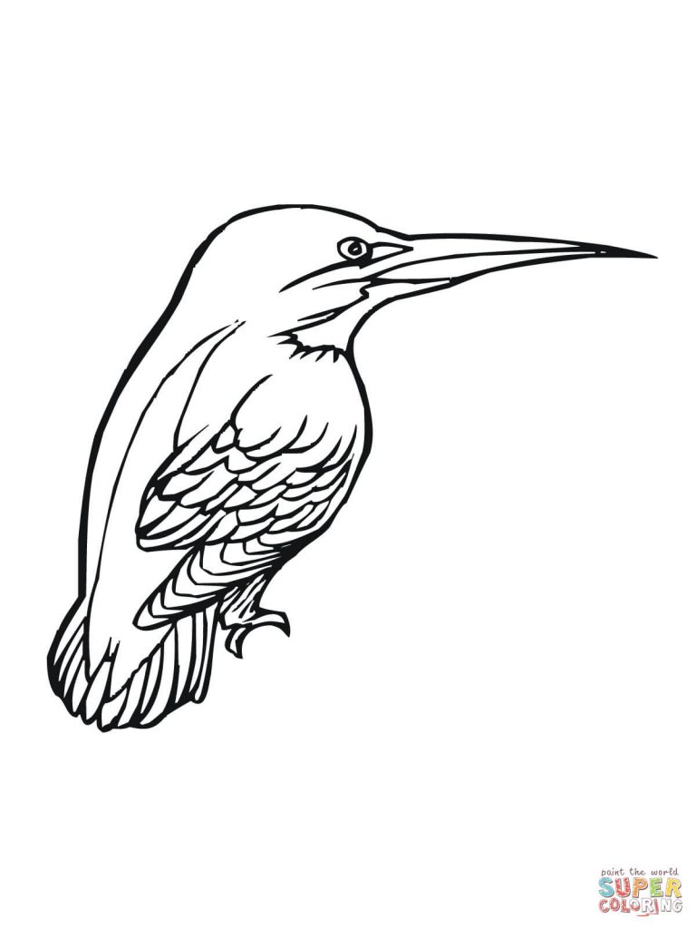 Kingsfisher coloring #14, Download drawings