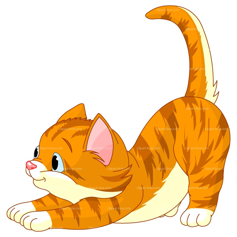 Kitten clipart #13, Download drawings
