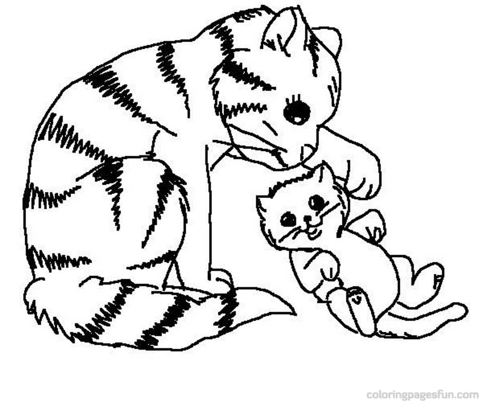 Kitten coloring #13, Download drawings