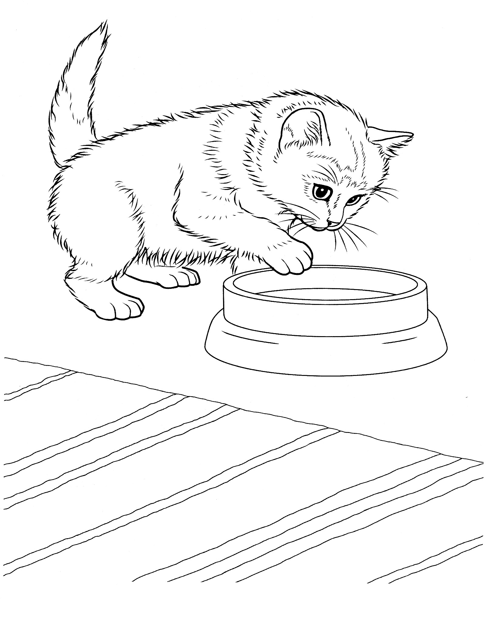 Kitten coloring #4, Download drawings