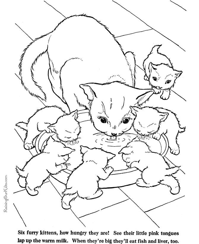 Kitten coloring #12, Download drawings