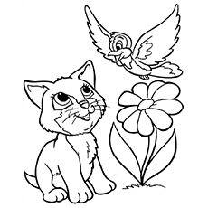 Kitten coloring #18, Download drawings