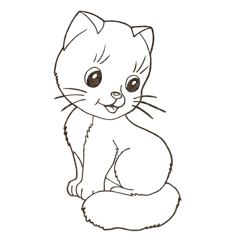 Kitten coloring #11, Download drawings
