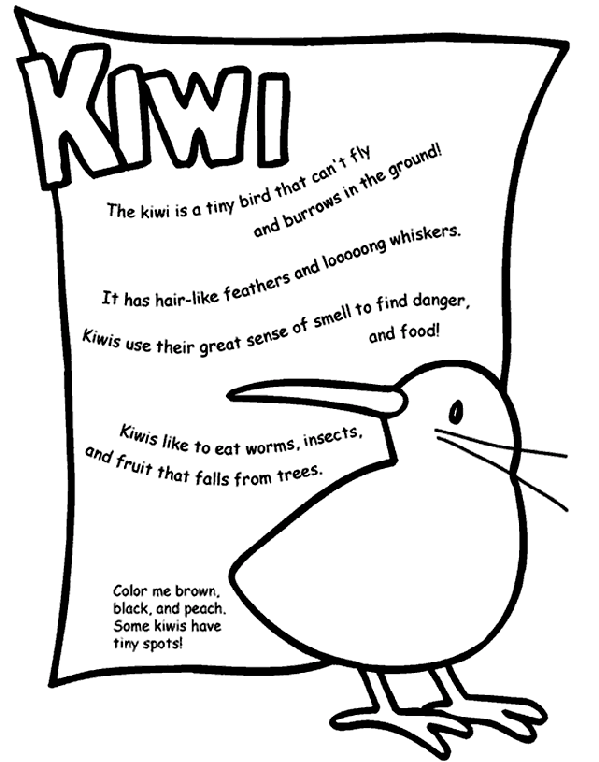 Kiwi coloring #13, Download drawings