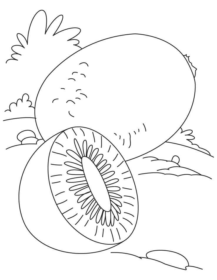 Kiwi coloring #3, Download drawings