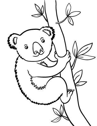 Koala Bear coloring #16, Download drawings