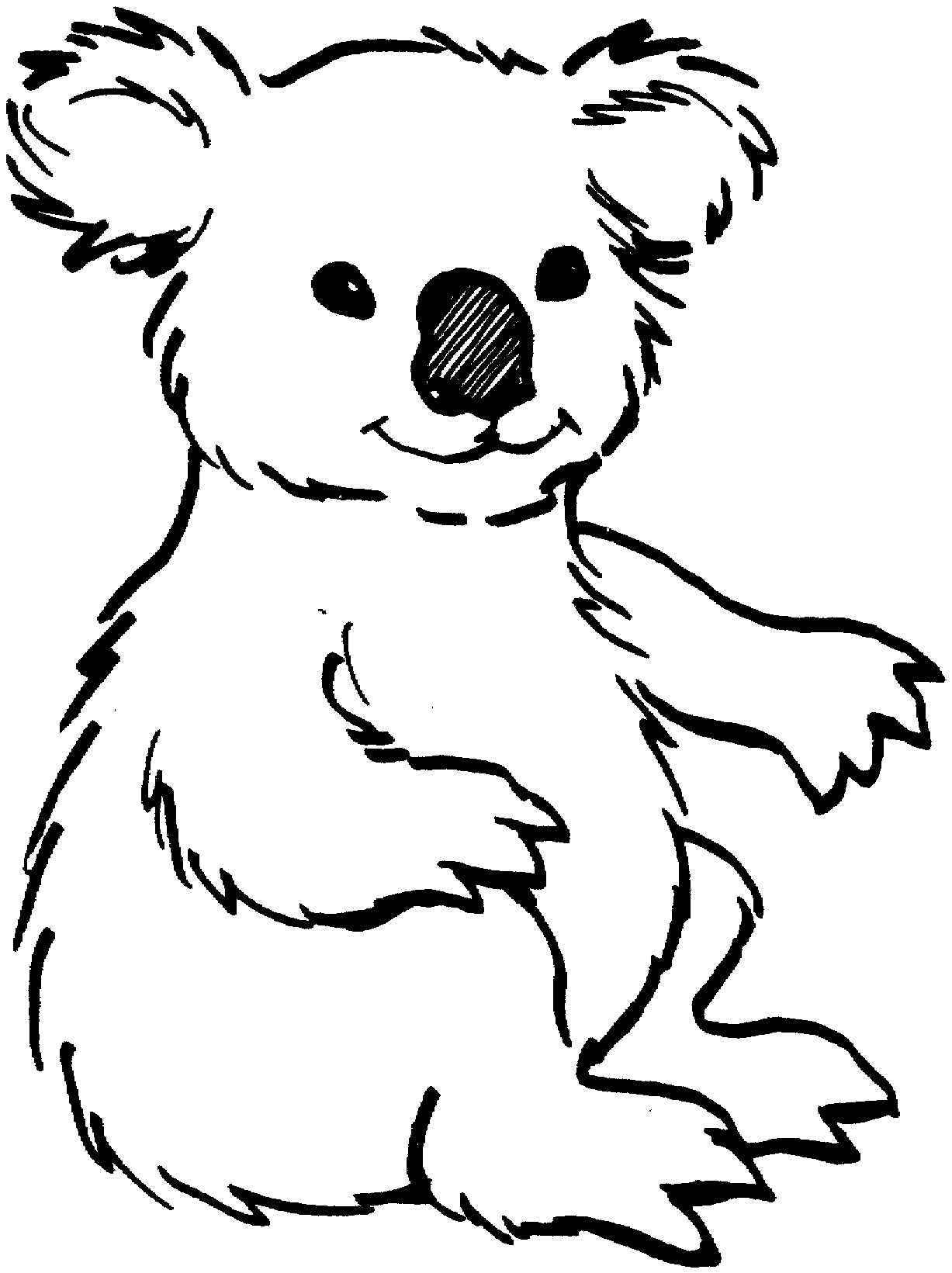 Koala Bear coloring #13, Download drawings