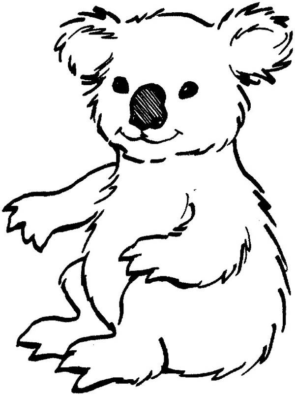 Koala Bear coloring #14, Download drawings