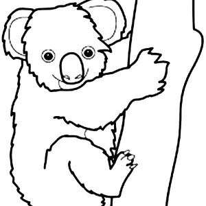 Koala Bear coloring #11, Download drawings