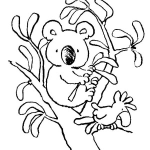 Koala Bear coloring #8, Download drawings