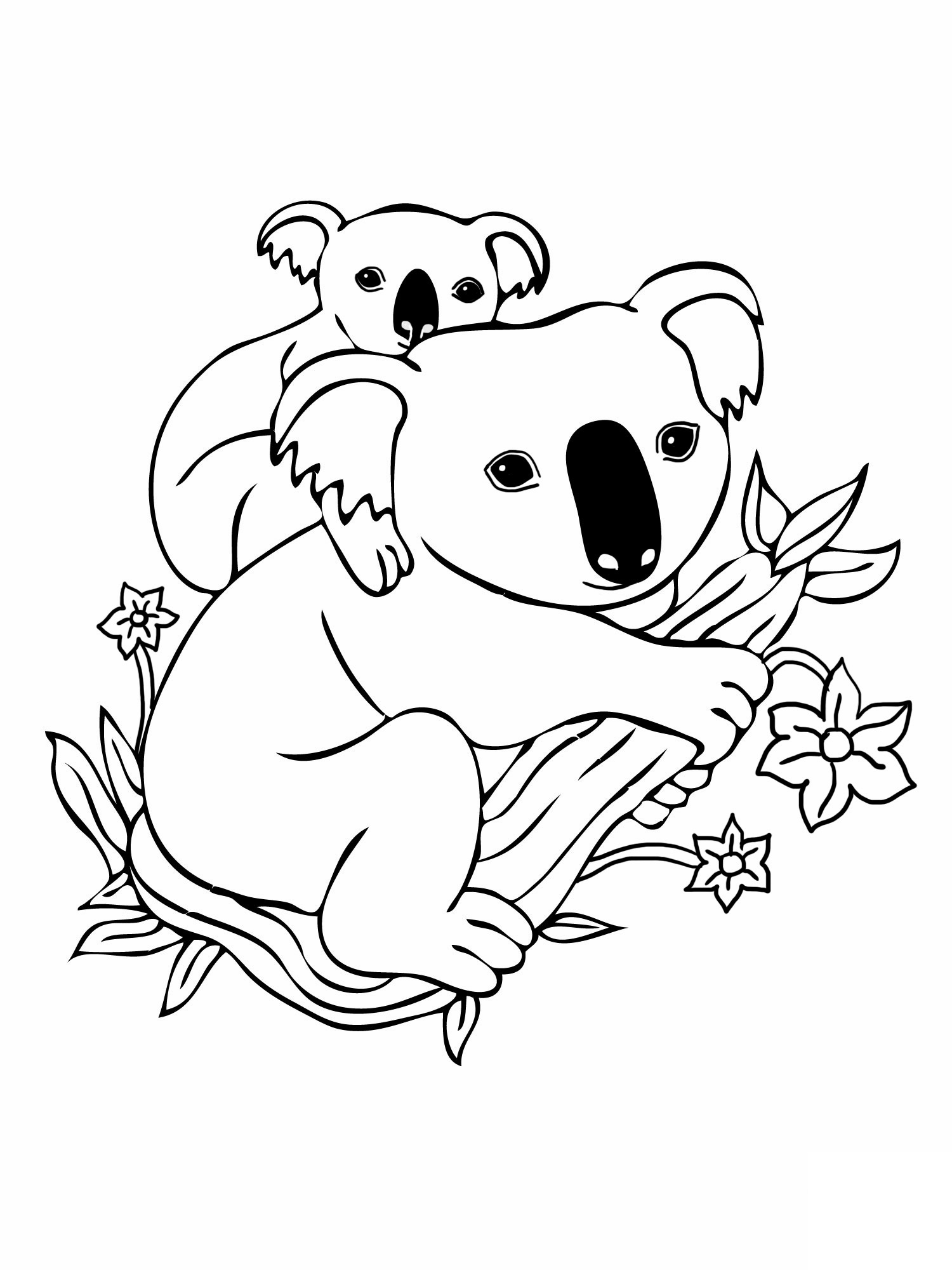 Koala coloring #19, Download drawings