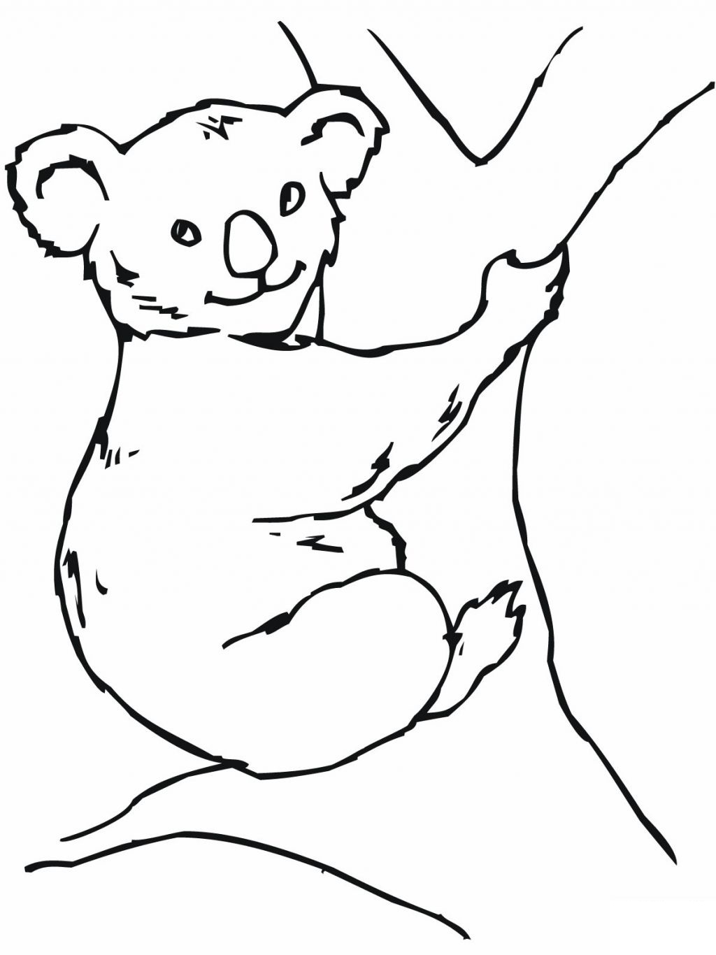 Koala Bear coloring #17, Download drawings