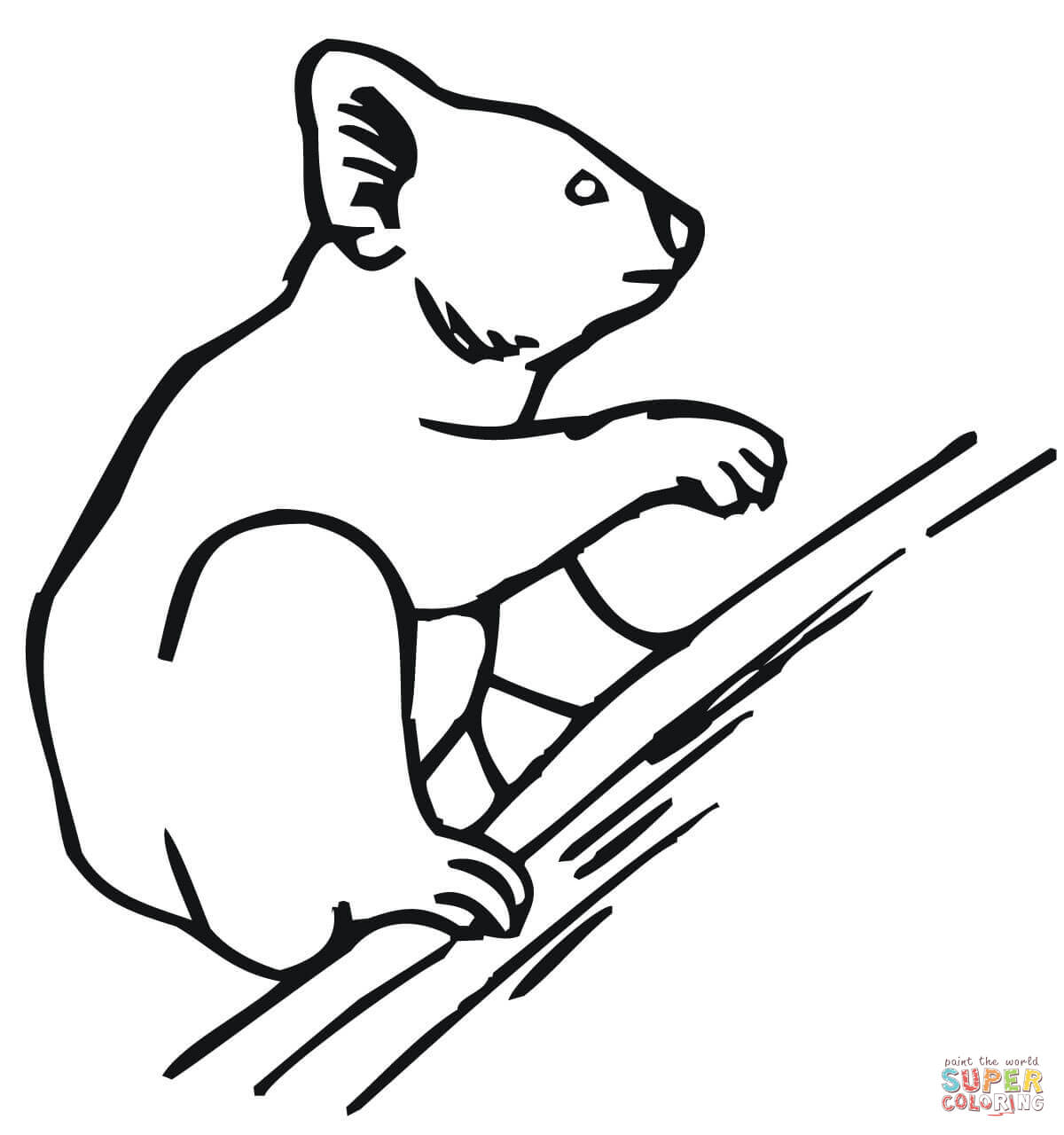 Koala Bear coloring #3, Download drawings
