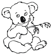 Koala coloring #1, Download drawings