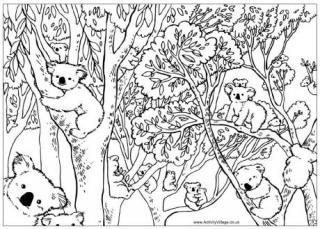 Koala coloring #5, Download drawings