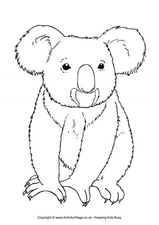 Koala coloring #6, Download drawings