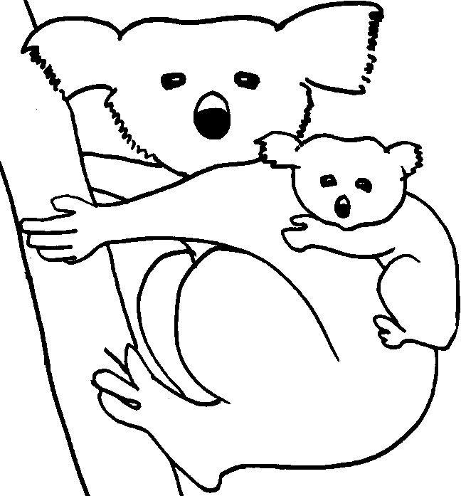 Koala coloring #9, Download drawings