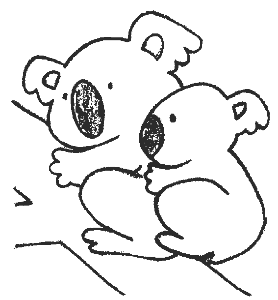 Koala coloring #8, Download drawings