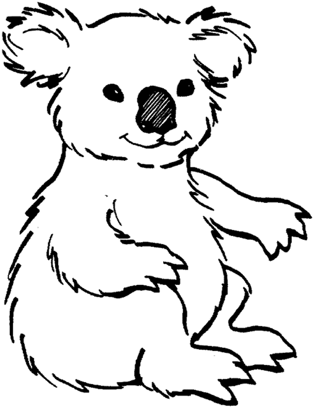 Koala coloring #20, Download drawings