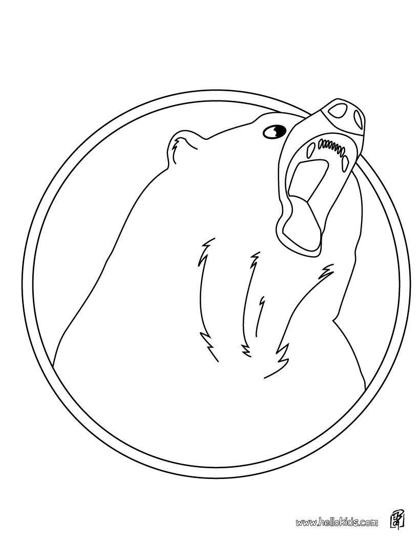 Kodiak Bear coloring #4, Download drawings
