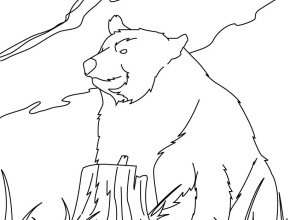 Kodiak Bear coloring #12, Download drawings