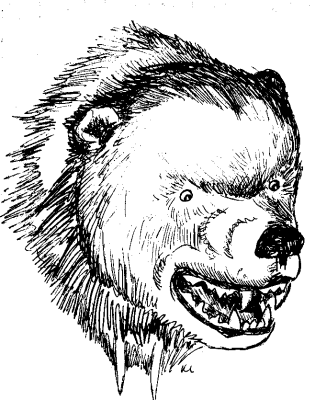 Kodiak Bear coloring #13, Download drawings